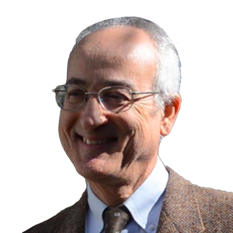 Portrait of Prof. Paolo Gresele